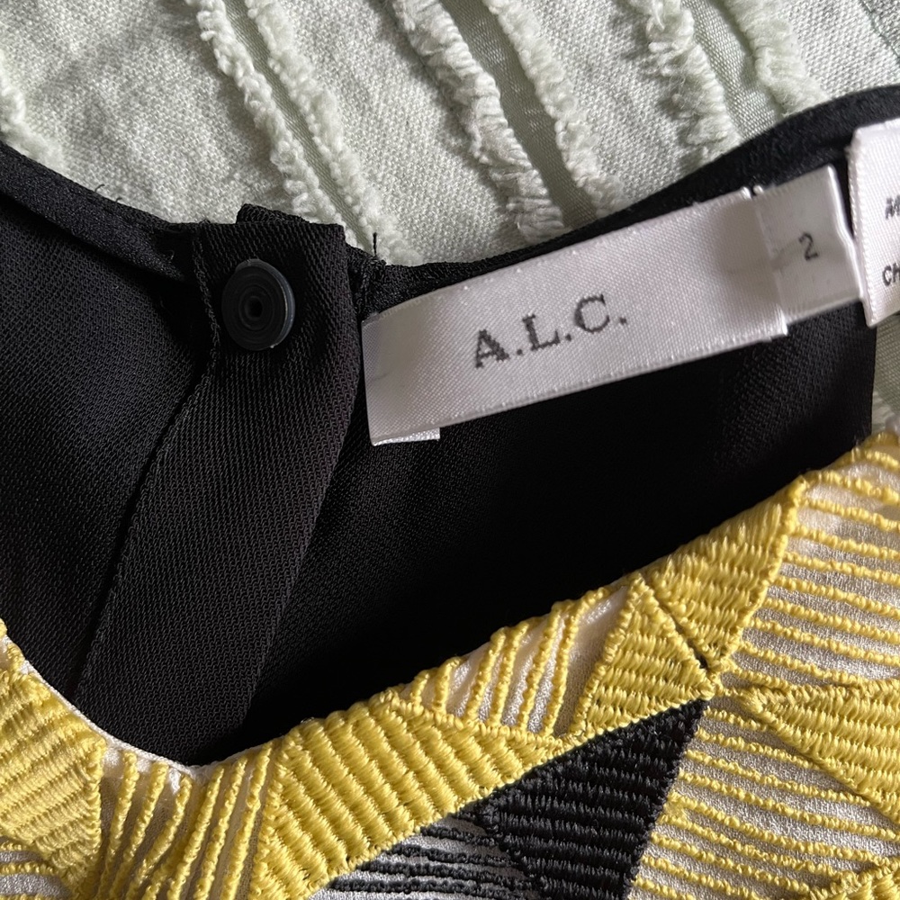 A. L. C. View 4